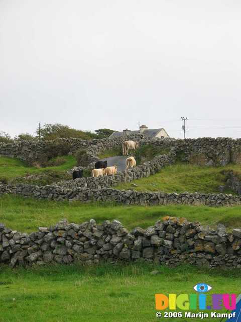 19080 Busy traffic near the campsite